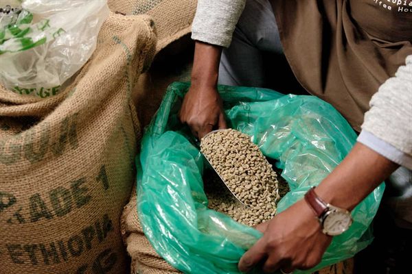 Washed green coffee beans