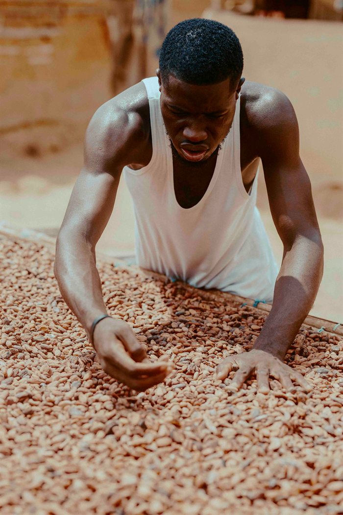 Coffee growing in Africa